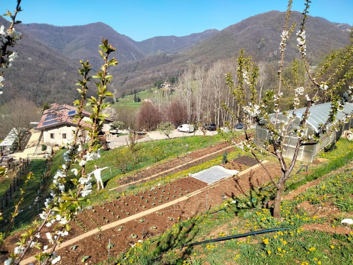 Agriturismo Ca' Fenile Alzano Lombardo Kültér fotó