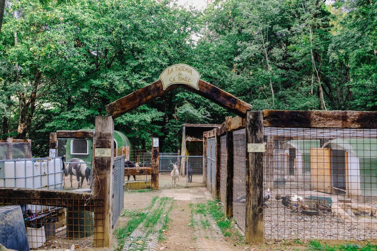 Agriturismo Ca' Fenile Alzano Lombardo Kültér fotó