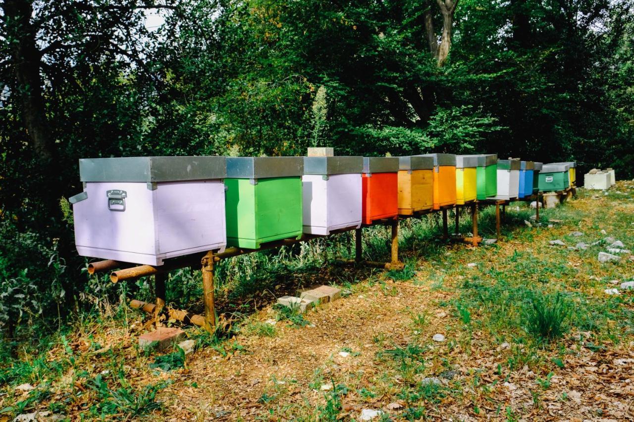 Agriturismo Ca' Fenile Alzano Lombardo Kültér fotó