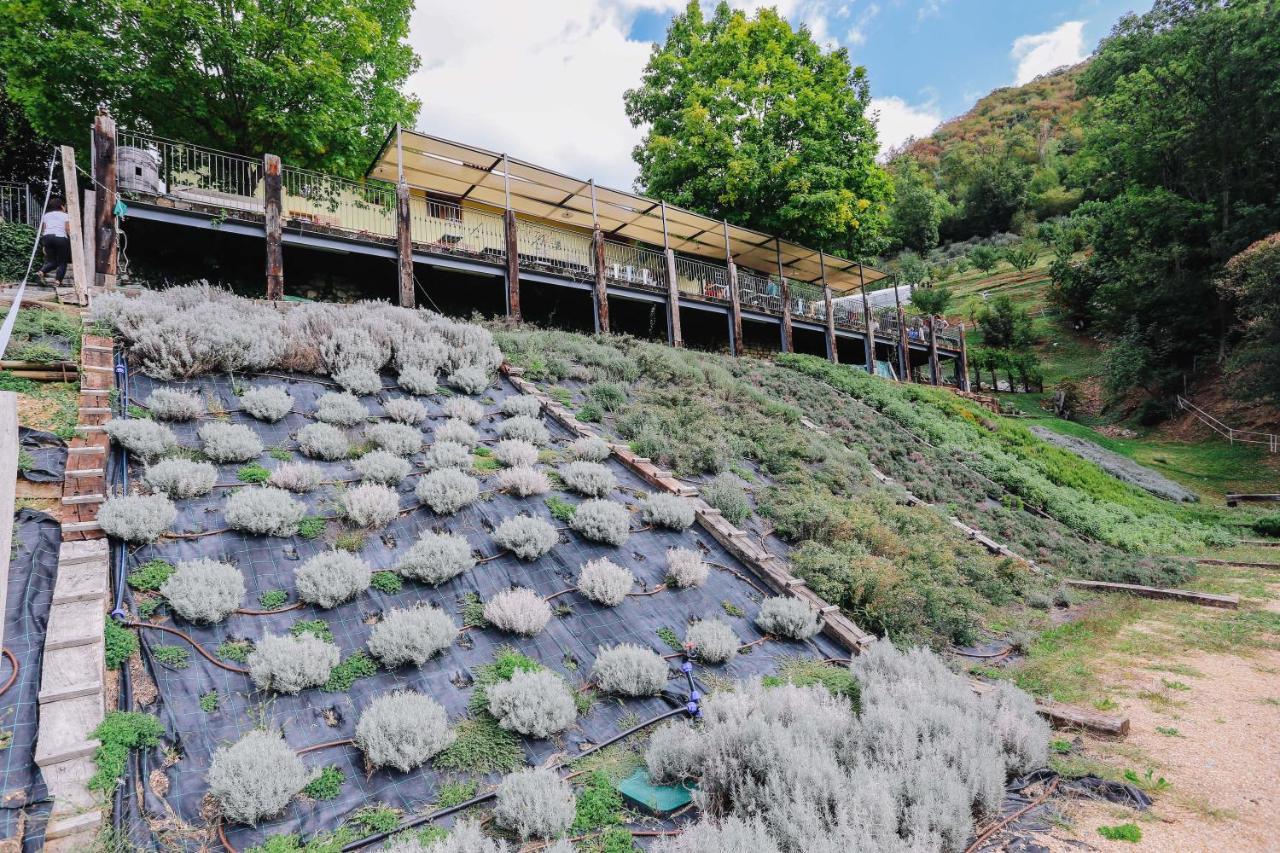 Agriturismo Ca' Fenile Alzano Lombardo Kültér fotó
