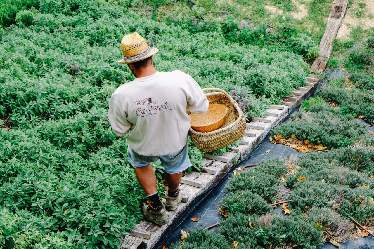 Agriturismo Ca' Fenile Alzano Lombardo Kültér fotó