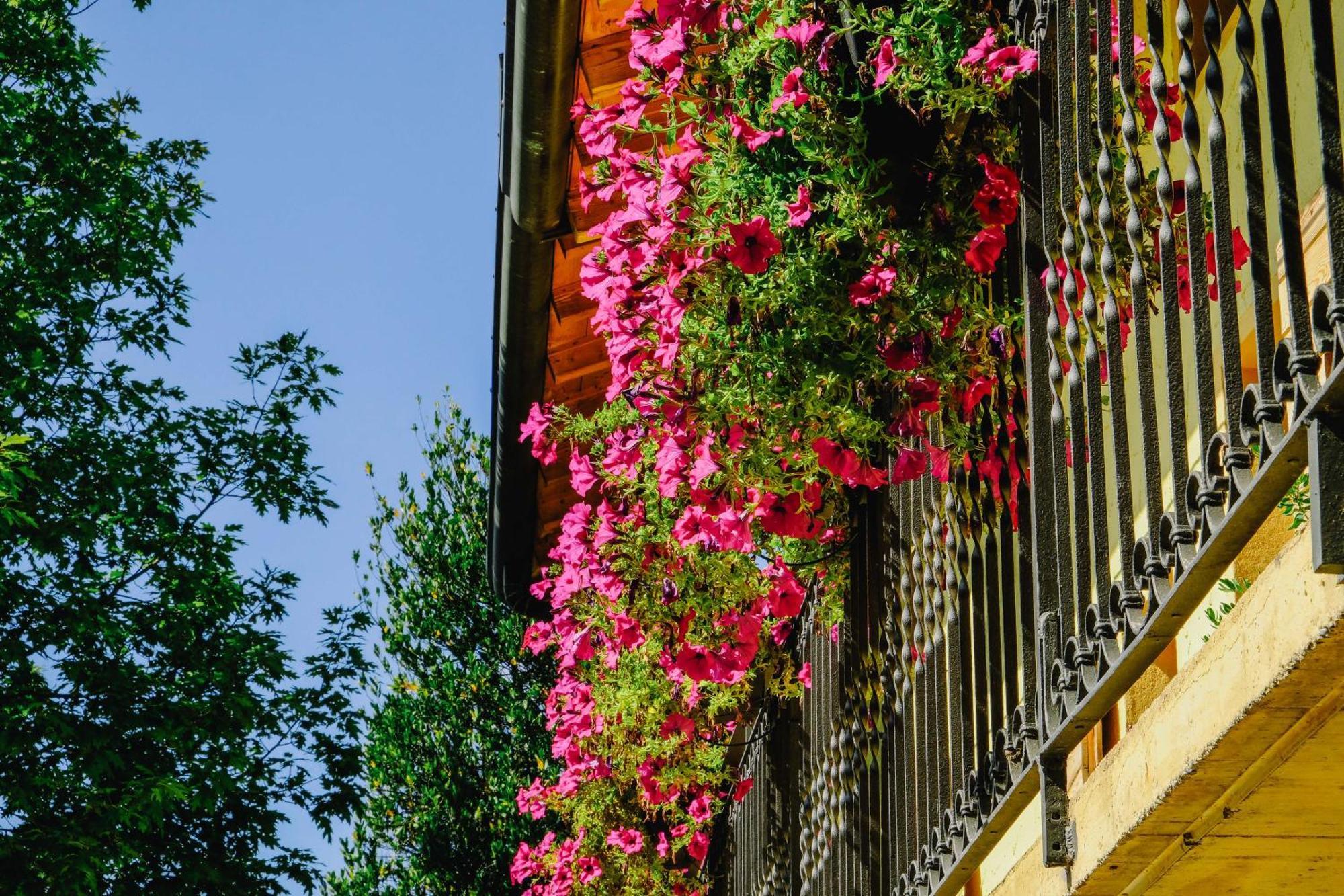 Agriturismo Ca' Fenile Villa Alzano Lombardo Kültér fotó